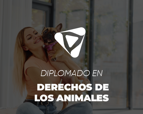 Derechos de los animales