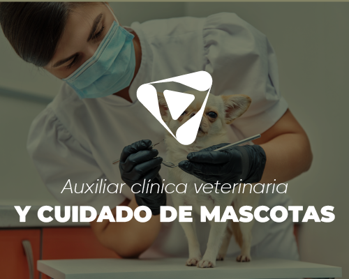 Auxiliar de clínica veterinaria y cuidado de mascotas